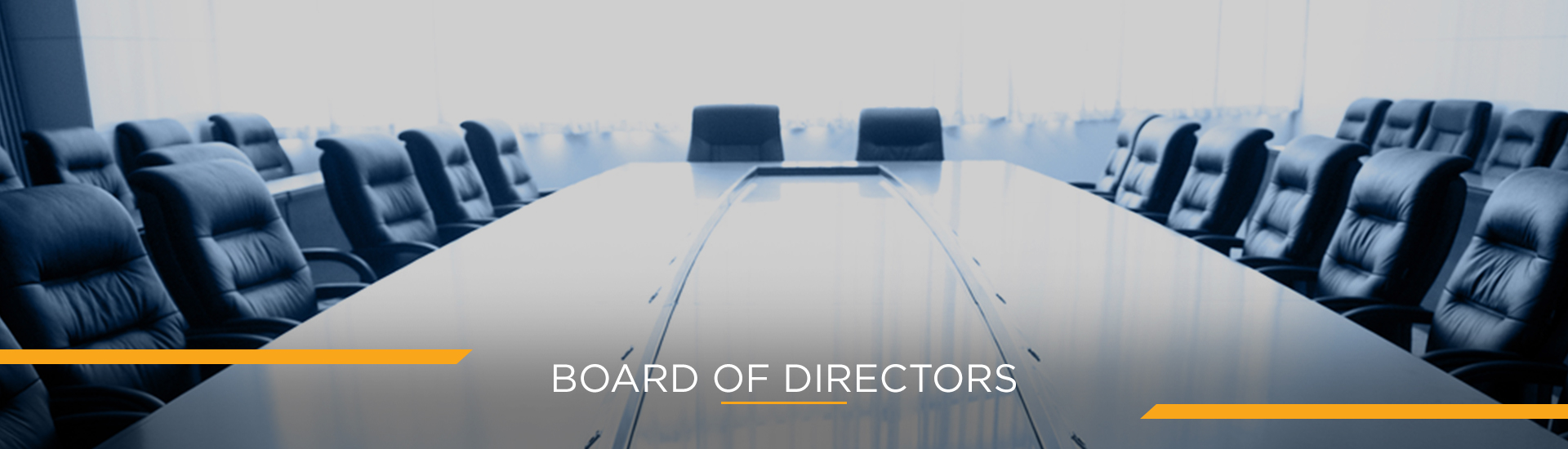 Board-Of-Directors